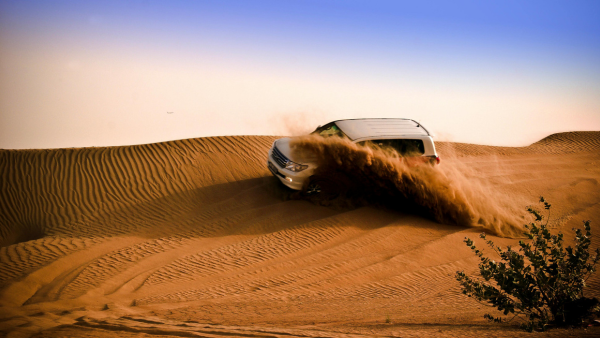 Desert Safari Dubai with BBQ Dinner & Live Shows