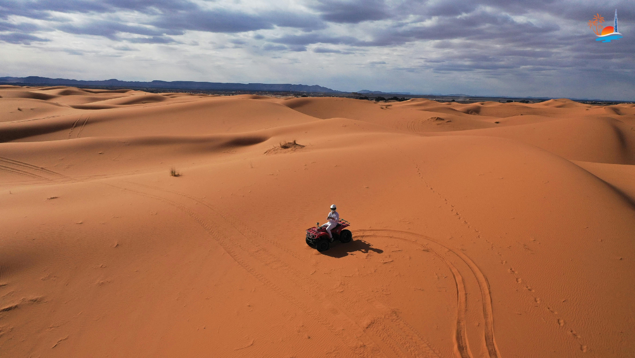 Yamaha Quad Bike 220CC – Ultimate Desert Ride - Image 3