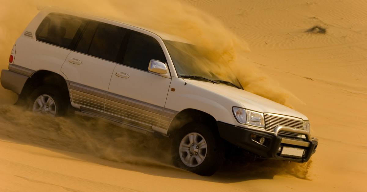 Morning Desert Safari Adventure - Image 2